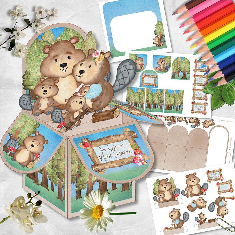 free eager beaver pop up box
