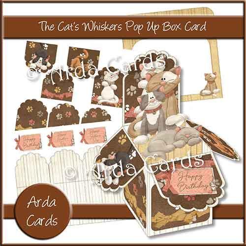 Cat's Whiskers Pop Up Box Card