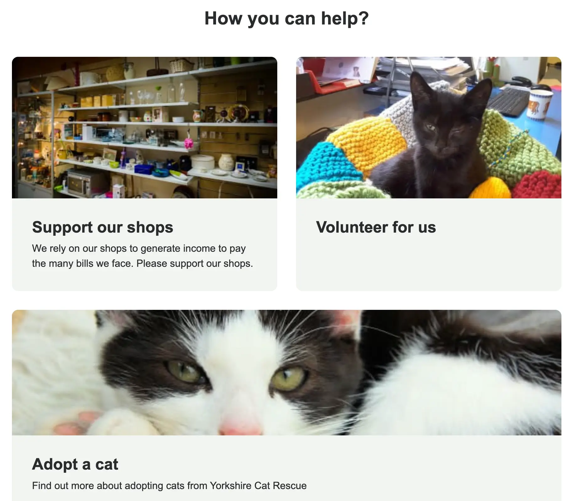 Yorkshire Cat Rescue How You Can Help